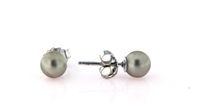Orecchini Forever Gioielli Donna Orecchini Perla in Argento Perla FGOR00083 - FGOR00083